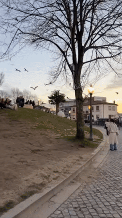 Evening life unfolds in Vila Nova de Gaia