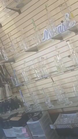 The video shows a wall display in a shop. The wall has a series of horizontal grooves, and clear glass shelves are attached to the wall.  The shelves are filled with various glass pipes, bongs, and related paraphernalia. The items on display are primarily clear glass, with some pieces having colored accents in blue, green, or other shades.  Below the shelves, there are storage containers and other items that appear to be for sale. The overall lighting in the shop appears to be bright and even. The camera movement is unsteady.