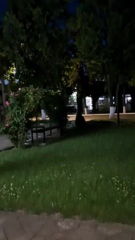 A night time shot of a park. In the foreground there is green grass with some small white flowers. To the left, a bench is partially visible under a rose trellis that is decorated with small white lights. Behind the trellis, there are trees and in the distance, buildings with lights on can be seen. To the right of the frame, a tall green evergreen tree is prominent. The lighting is dim, with the exception of the string lights and the distant building lights.