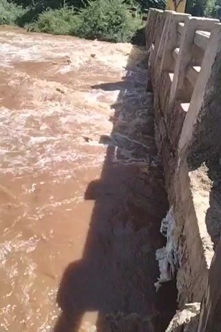 The video shows a swollen river flowing rapidly and dangerously high, almost reaching the top of the adjacent concrete structure, possibly a bridge abutment or a retaining wall. The water is muddy and turbulent, indicating heavy sediment load and high flow velocity. There is visible erosion and damage to the concrete structure, with chunks missing and exposed underlying material. Debris, including plastic bags and other unidentifiable trash, is caught on the damaged areas of the concrete. The camera is positioned above, looking down at the river and the structure, with the shadow of the person holding the camera briefly visible at the beginning of the video. The surrounding environment is not clearly visible, but there are hints of vegetation on the far bank.
