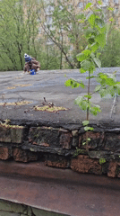 Child plays with toys on Khimki rooftop sandbox