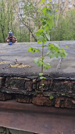 Child plays with toys on Khimki rooftop sandbox