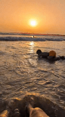 Lively Tel Aviv beach afternoon: surf, acrobatics, and a paraglider
