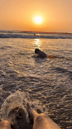 Lively Tel Aviv beach afternoon: surf, acrobatics, and a paraglider