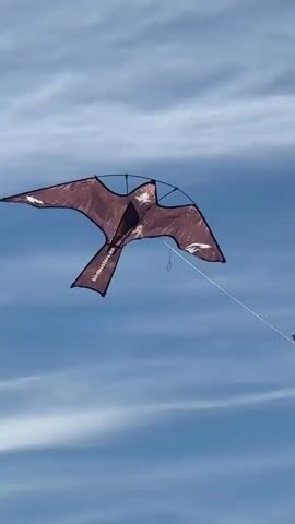 A bird-shaped kite with the text "birdbusters.eu" on its body flies in a blue sky with thin white clouds. The kite is dark brown with lighter brown accents and white markings resembling feathers on its wings. The kite is attached to a thin line that connects to a long, thin pole, which is held out of frame. The kite is positioned in the center of the frame, angled slightly to the right, and it appears to be moving left.