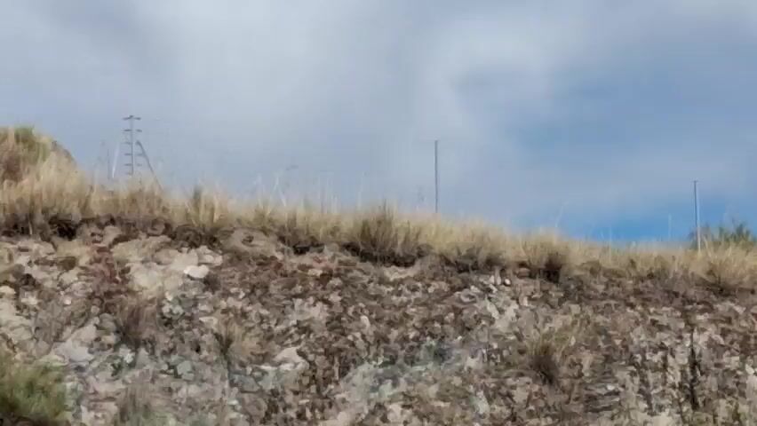The video shows a landscape scene with a large, spherical, wireframe structure on the right side of the frame. The structure is supported by a yellow platform and has a staircase leading up to it. The landscape is dry and hilly, with sparse vegetation. There are some bushes and tall grass in the foreground. The sky is cloudy. A billboard with text is visible above the structure. The camera appears to be moving horizontally, panning across the scene.