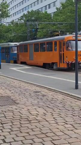 Two trams are visible on a cobblestone street with a grey pavement in the foreground. The tram on the left is blue and yellow with "CVAG" printed on it and the number "506". The tram on the right is orange. A modern white building and trees are in the background. The image is captured from a low angle looking up at the trams.