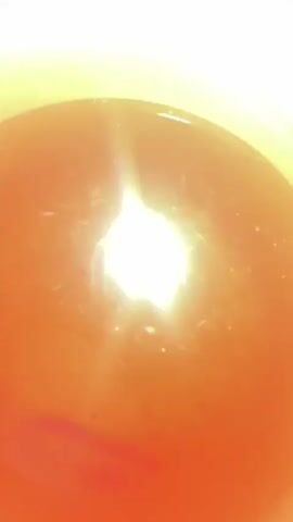The video is a close-up, top-down view of a cup filled with a reddish-brown liquid, likely tea. The cup has a white interior with a golden rim and a dark red exterior band. A bright light source reflects off the surface of the liquid, creating a prominent glare. There are small bubbles on the surface of the liquid and some specks or sediment at the bottom of the cup, including a dark, elongated object that could be a tea leaf or a small piece of debris. The liquid appears to be still. The camera angle shifts slightly throughout the short video, showing the curvature of the liquid's surface as it fills the cup. The setting appears to be indoors, possibly on a table covered with a white, patterned tablecloth. There is no discernible text in the video. The overall impression is of a simple, everyday moment of preparing or observing a cup of tea. The lighting suggests it could be daytime, but there are no specific cues about the time of day or weather. The location context of Трещиха, Russia, is provided but not visually evident in the video itself.