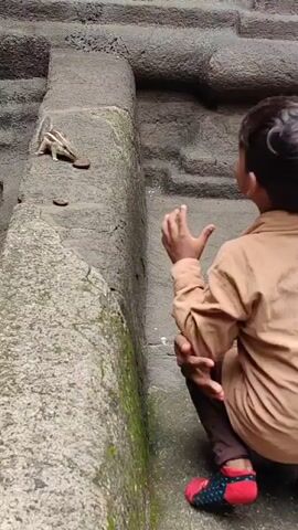 A person, partially visible from the back, is seated next to a stone structure. The person wears a brown shirt, dark pants, and socks, one red and black. They are offering food to a squirrel. The squirrel is positioned on the stone ledge, with several pieces of food scattered around it. The squirrel is actively interacting with one of the food pieces. The environment appears to be outdoors, with the stone structure suggesting an ancient or architectural setting. The lighting indicates daytime. The interaction between the person and the squirrel is the central focus of the short clip.