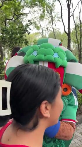Mexico City fans gather for outdoor World Cup viewing