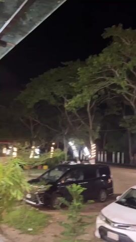 A night time outdoor scene shows two cars parked. One is a black van, and the other is a white sedan. The cars are parked on a dirt or gravel lot. Trees with green leaves are visible behind the cars. The trees are decorated with strings of white lights that spiral around their trunks. The sky is dark.