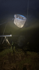 Nighttime fishing trip with cooking and camping documented waterside