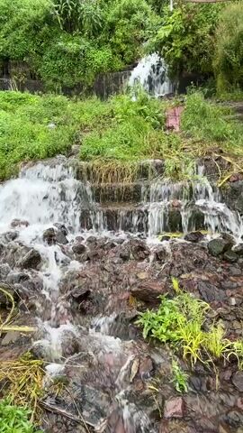 The video shows a tiered waterfall cascading down rocks and lush green vegetation. The water is white and frothy as it flows over the rocks, creating a gentle mist. The surrounding area is heavily overgrown with trees and plants, indicating a natural or semi-natural environment. There are no people visible in the video. The lighting suggests it may be daytime, possibly overcast or shaded.