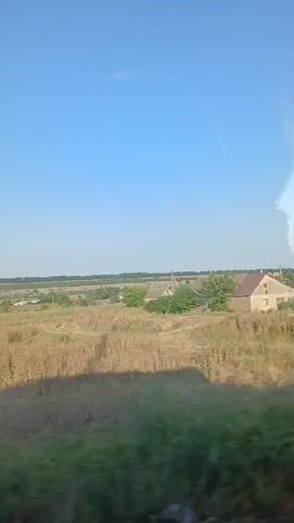 This video captures a moving view from inside a vehicle looking out at a rural landscape. The sky is clear and blue. In the foreground, there are blurry green bushes and tall, dry, golden grass or crops. A white sign with some red markings is partially visible on the left side of the frame, slightly out of focus. Further in the distance, more fields of dry grass stretch towards a horizon lined with trees and a few scattered buildings, possibly houses, indicating a small village or settlement. The overall impression is of a sunny day in the countryside, possibly during late summer or early autumn.