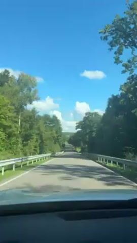 The video shows a first-person view from inside a vehicle driving on a paved road.  The road is straight and long, flanked on both sides by tall green trees.  White metal guardrails line the sides of the road.  The sky is bright blue with scattered white clouds. The hood of the vehicle is visible at the bottom of the frame.