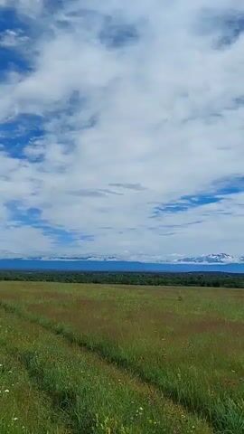A vehicle is traveling on a dirt road through a grassy field. In the distance, snow-capped mountains rise against a cloudy blue sky. The camera is positioned inside the vehicle, capturing the view from the passenger side. The field is covered in tall green and brown grass. The mountains in the background are a mix of white snow and dark rock. The sky is filled with white and gray clouds with patches of blue visible. The vehicle appears to be a dark-colored SUV or truck.