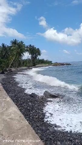 The video shows a black pebble beach with waves crashing onto the shore. There are palm trees lining the beach and a blue sky with white clouds above. A concrete wall is visible in the foreground.
