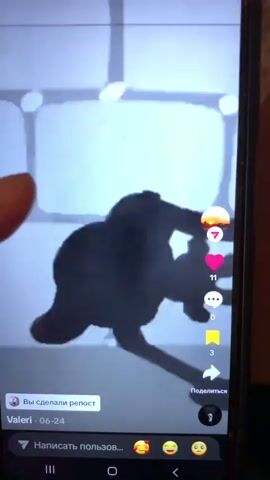 A cell phone screen displays a vertical video with a carousel interface typical of social media platforms like TikTok. The video itself consists of short, black-and-white animated clips. The first clip shows a dog-like cartoon character, possibly Pluto, in what appears to be a medical setting, with a skeletal diagram behind it. The subsequent clips feature a black and white cat-like cartoon character in various poses, including climbing stairs and looking surprised. The video appears to be a compilation of older animation clips. Overlaying the video are interface elements like a profile picture, likes, comments, shares, and text indicating "You reposted" and a username "Valeri" with a date "06-24".
