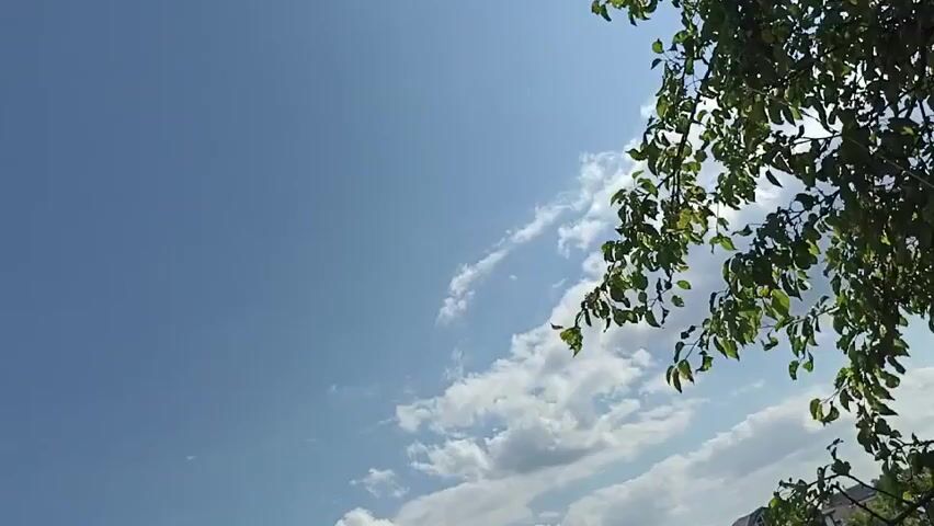 This video shows a time-lapse of a clear blue sky with scattered white clouds, shot from a low angle. The upper right portion of the frame is dominated by the lush green leaves of a tree, with its branches reaching into the sky. As the video progresses, the scene pans downward to reveal a rural landscape in the background. 

The lower half of the frame transitions from sky to reveal a green, grassy field dotted with trees and some houses with red roofs. The sun is visible, creating a bright and sunny atmosphere, suggesting it's daytime. The presence of the houses and vegetation points to a rural or suburban setting. The video is shot in Shpaniv, Ukraine. There is no visible text in the video. The overall mood is peaceful and serene, capturing a beautiful natural scene.