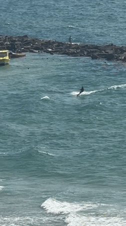 Kitesurfers ride choppy waters off Netanya coast Monday afternoon