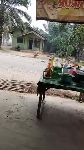 The video shows a view from an open-air shelter looking out towards a house and a road. In the foreground, a table with various bottles and containers is visible. In the middle ground, a green house with a motorbike parked in front of it sits beside a dirt road. Palm trees and other foliage surround the house. The overall scene appears to be a rural setting.