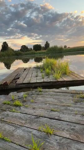 A video begins with a static shot of a wooden dock jutting out into a calm body of water. The sky above is filled with dramatic clouds tinged with the warm hues of a sunset. Patches of grass sprout from the weathered planks of the dock.

The camera then pans slightly to reveal a young woman sitting on a dark plastic chair placed on the dock. She is wearing a maroon sweatshirt and matching sweatpants, and her feet are adorned with floral-patterned slip-on shoes. She holds a smartphone in her hands and appears to be engaged with it, looking down at the screen. Her legs are crossed, with one foot resting on the chair. The setting sun casts a warm glow on the scene, reflecting on the water's surface, and the clouds are mirrored in the still water. The woman occasionally glances up from her phone, taking in the scenic view. The video ends with a wider shot of the woman on the dock, silhouetted against the vibrant sunset.