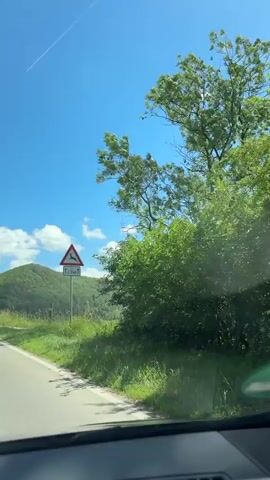 The video captures a scenic view from inside a vehicle, likely a car, as it travels along a paved road. The road is visible in the foreground, curving slightly to the left. To the right of the road, a traffic sign with a triangular warning symbol featuring a leaping deer is prominently displayed on a pole, indicating a potential hazard. Below this, another sign indicates "2.5 km". A large tree with green leaves extends into the frame from the top right. Beyond the road and the immediate roadside vegetation, a rolling green landscape unfolds, characterized by rolling hills covered in lush trees and interspersed with patches of open fields. The sky above is a vibrant blue, dotted with scattered white cumulus clouds, suggesting a bright, sunny day. The camera angle suggests the footage is being filmed from the passenger seat or dashboard of the moving vehicle.