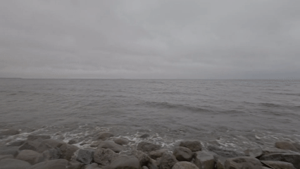 Cloudy shoreline with rocky beach and scattered pine trees