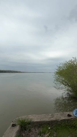 The camera pans and zooms from a wide shot to a tighter shot of a grey river under a grey, overcast sky. On the distant opposite bank, there are trees and buildings with a bridge going over the river. Trucks and cars can be seen moving on the bridge. On the right, there is a green bush in the foreground.