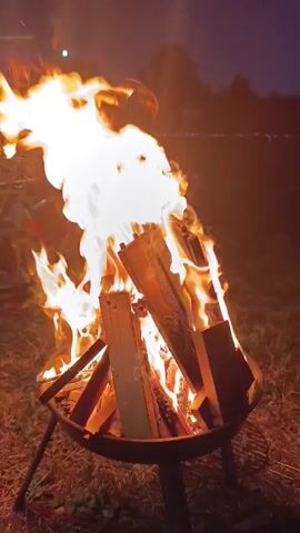 A campfire burns brightly in a metal fire pit at night. Flames leap high into the air, casting a warm glow on the surrounding dry grass and a few scattered wooden planks. The fire pit is supported by three metal legs. The background is dark, suggesting it is evening or night.
