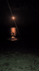 Moonlit night at a Ukrainian beach, silhouette in the shallows