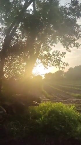 Sunset-chasing and quiet village life in rural Mhaiswadi