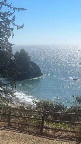 This is a vertical, shaky video of a bright, sunny day at the coast. The ocean is choppy and reflects the sunlight. Several large rocks jut out of the water in the distance. In the foreground, there is a wooden fence and some green foliage. A tall tree branch with needles is visible in the upper left corner. The sky is a clear, pale blue.