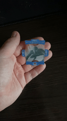 Collector showcases figurines and trading cards in Kharkiv apartment
