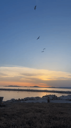 Coastal sunset: beach, wildflowers, and waterfront views