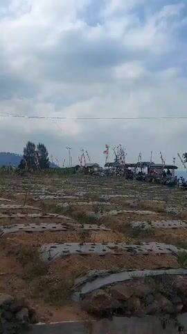 The video shows a view from a moving vehicle, panning across a rural landscape. In the foreground, there are rows of cultivated fields covered with plastic sheeting. In the middle ground, a collection of stalls and shelters are visible, adorned with red and white flags, suggesting a festive or market atmosphere. A paved road is present, with parked motorcycles and a sign arching over it that reads "DESA CANGGAL." A person is seen standing near a food stall labeled "BAKSO MALANG." The background consists of trees, hills, and a cloudy sky. The overall impression is of a village or a rural roadside gathering area.