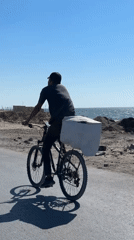 Coastal Gaza: daily movement amid destruction and displacement