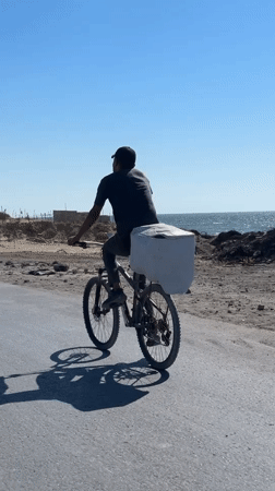 Coastal Gaza: daily movement amid destruction and displacement