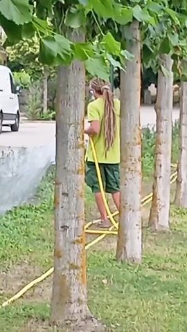 A person with long, blonde dreadlocks wearing a lime green t-shirt and green shorts is watering trees with a yellow hose. The person is standing behind a tree and holding the hose with their right hand, directing the water at the base of the tree. A white van is visible in the background to the left. The ground is covered in grass, and there is a row of trees with rough bark and green leaves. The hose snakes across the ground.