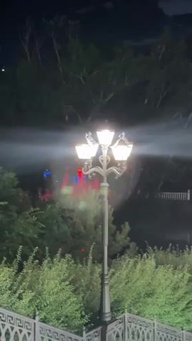 The video shows a lamppost with multiple lights in the foreground. Behind the lamppost, there is a dense area of green trees. In the background, out of focus, there are visible lights, appearing as red and green flashes. There are also faint white streaks of light visible in the air, potentially smoke or fog, interacting with the lamppost's illumination. The overall scene is set at night.