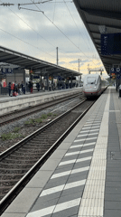 ICE train arrives Munich station as pigeon strolls platform