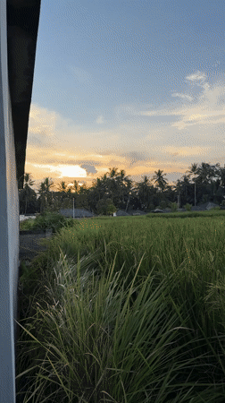 Peaceful rural landscapes documented in Tampaksiring, Indonesia