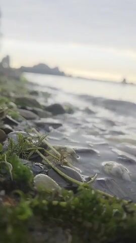 A low-angle shot of a rocky shoreline with small waves lapping at the edge. Green algae and plant life are visible on the rocks in the foreground. In the background, a hazy body of water stretches to the horizon under a cloudy sky. The scene appears to be in natural daylight.