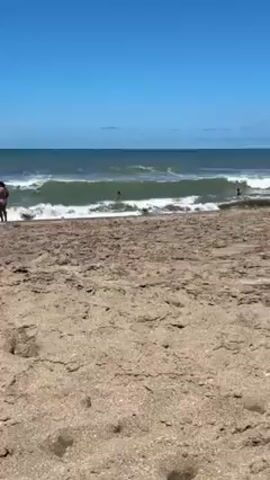 A person records from a sandy beach on a sunny day. The view is of the shoreline with moderate waves. Several people are wading in the water, and one person wearing black clothing is walking at the edge of the surf. A white and grey dog plays in the shallow water.