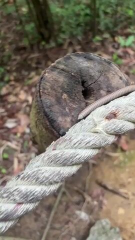 The video shows a close-up shot of a light brown and dark brown banded millipede crawling from left to right across a thick, light-colored, twisted rope. The rope is resting on top of a small, cylindrical tree stump with a hole in the center. The background is blurry and consists of leaves and dirt. There is an audible whooshing sound in the background.