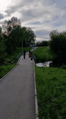People gather on bridge in Tara, Russia, elephant spotted