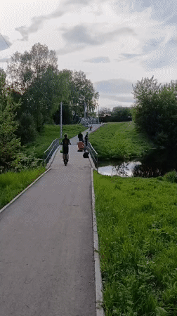 People gather on bridge in Tara, Russia, elephant spotted