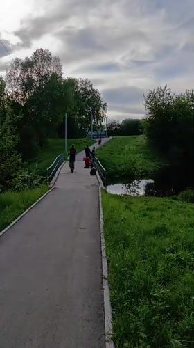 People gather on bridge in Tara, Russia, elephant spotted