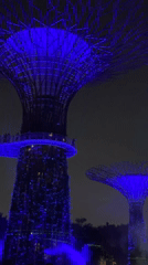 Supertree Grove light show lights up Singapore night