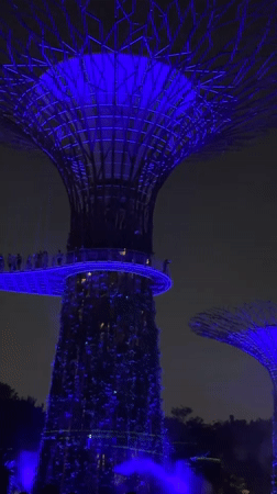 Supertree Grove light show lights up Singapore night